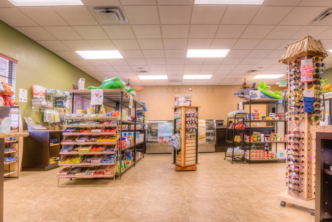 8960 Cat Palm Road Kissimmee